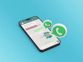 API do Whatsapp - O que é, como ter acesso, quanto custa